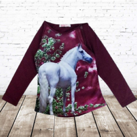 Aubergine longsleeve met paard F38