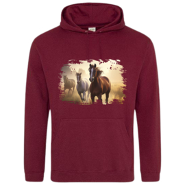 Hoodies dames