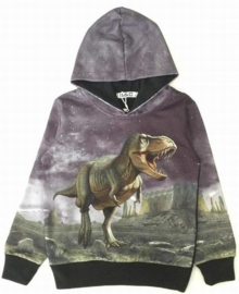 Zwarte hoodie met dino H175