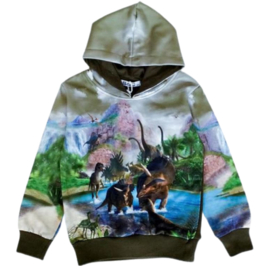 Groene kinder hoodie met dinosaurus h174