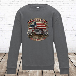 Sweater Amarican Harley grijs