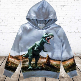 Grijze hoodie met dino h150