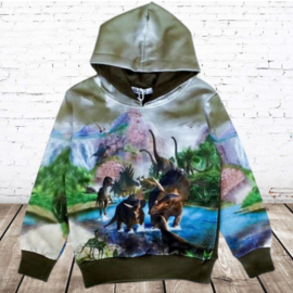 Groene kinder hoodie met dinosaurus h174