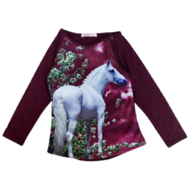 Aubergine longsleeve met paard F38