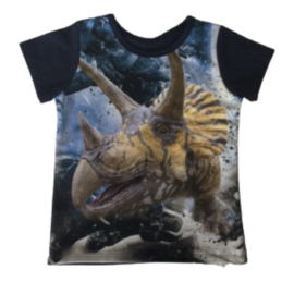 Dino shirt blauw JM808