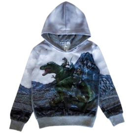 Stoere hoodie met dino h154