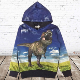 Blauwe hoodie met dino H153