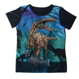 Dino shirt blauw JM807