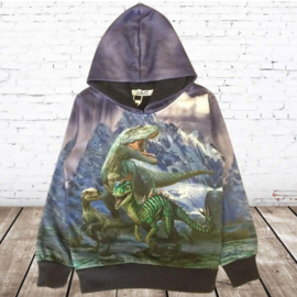 Hoodie met dino H179