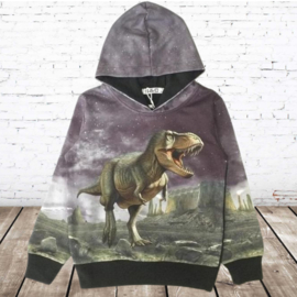 Zwarte hoodie met dino H175