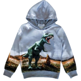 Grijze hoodie met dino h150