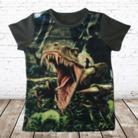 Dino shirt groen JM806