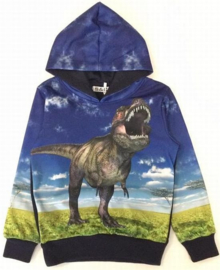 Blauwe hoodie met dino H153