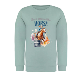 Paarden Collectie