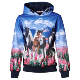 Paarden hoodie kind blauw f44