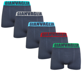 GIANVAGLIA boxershort heren performance 10-pack