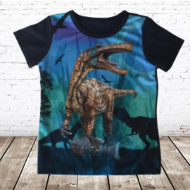 Dino shirt blauw JM807