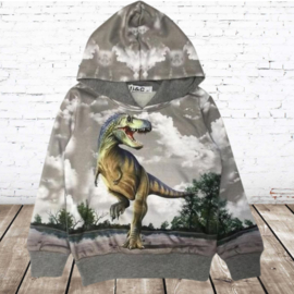 Hoodie met dinosaurus H176a