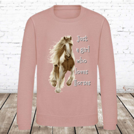 Sweater Just a girl who loves horses roze