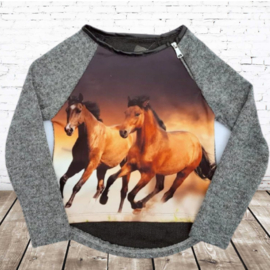 Grijze trui met paarden