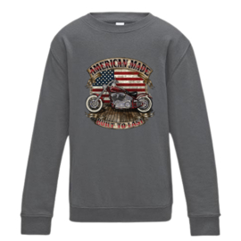 Sweater Amarican Harley grijs