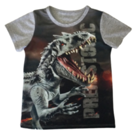 Jongens T-shirt Dinosaurus JM805