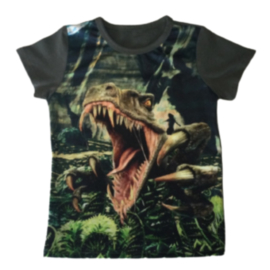 Dino shirt groen JM806