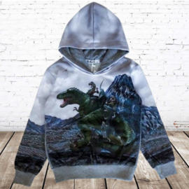 Stoere hoodie met dino h154