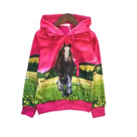 Roze meisjes trui met paard H24