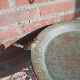 VOGELDRINKBAKJE OP POOT