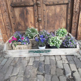 DECORATIEVE BLOEMBOLLEN BAK