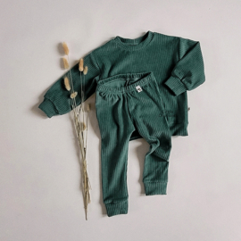 Leggings Velvet Corduroy (dusty green)