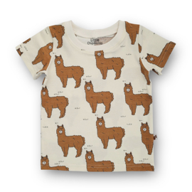 Shirt Alpaca