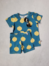 Shirt Lemons