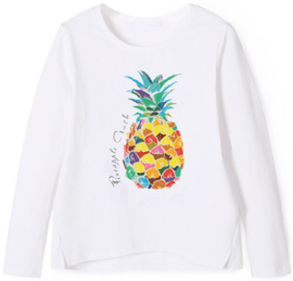 SUMMER PINEAPPLE IRON ON TRANSFER