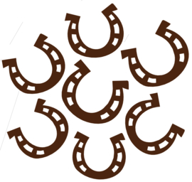 HORSESHOES FLOCK TRANSFER