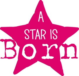 A STAR IS BORN APPLICATIE