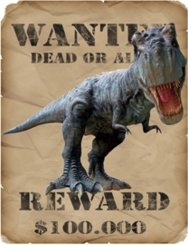 DINO REWARD IRON ON TRANSFER