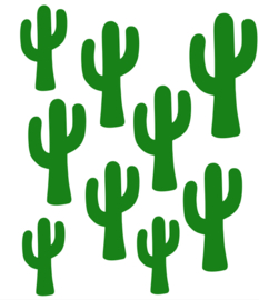 CACTUSSEN GEMIXED STRIJKAPPLICATIE