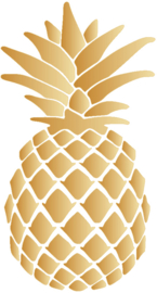 ANANAS STRIJKAPPLICATIE