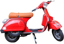 VESPA STRIJKAPPLICATIE