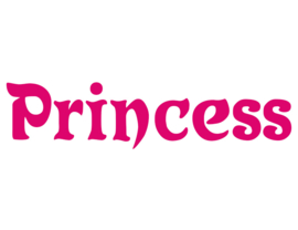 PRINCESS LETTER STRIJKAPPLICATIE