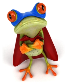 SUPERFROG STRIJKAPPLICATIE