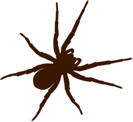 SPINNE BÜGELBILD