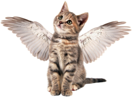 CAT WITH WINGS IRON ON TRANSFER