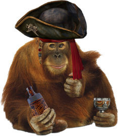 PIRATENAFFE BÜGELBILD