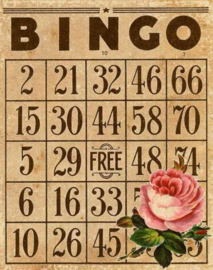 BINGO STRIJKAPPLICATIE