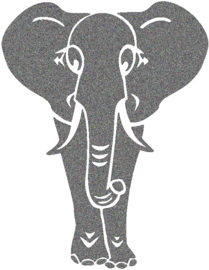 ELEPHANT FLOCK TRANSFER