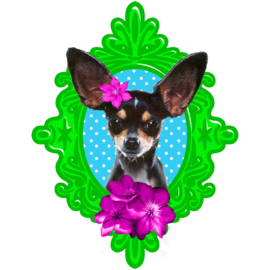 FRAMED CHIHUAHUA IRON ON TRANSFER