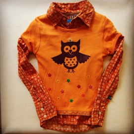 OWL WITH DOTS FLOCK TRANSFER